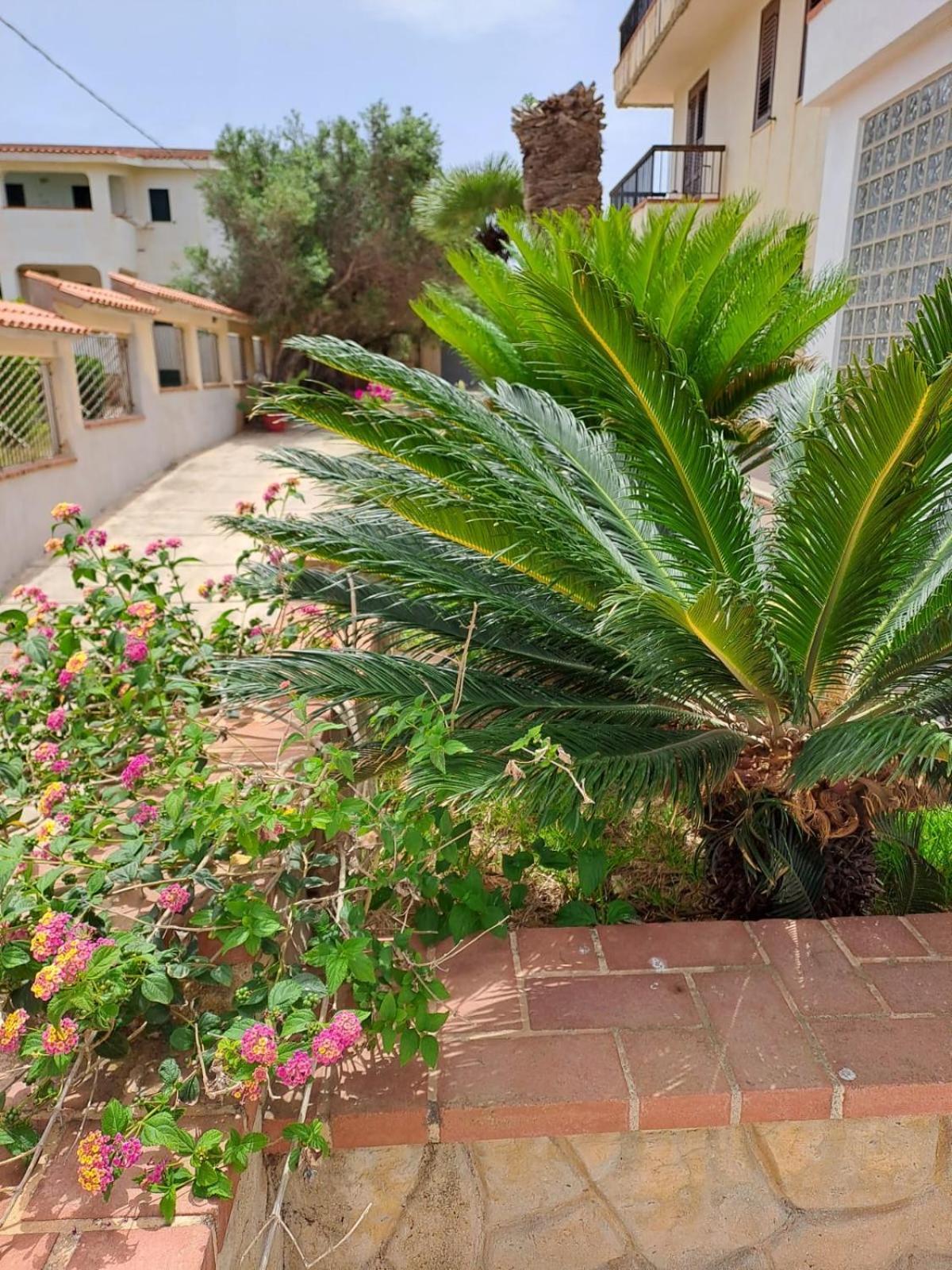 Villa Sul Mare Palazzolo Trappeto (Sicily) Exterior foto
